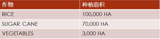 【外貿(mào)資訊】加勒比及中美洲農(nóng)業(yè)市場分析