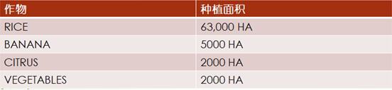 【外貿(mào)資訊】加勒比及中美洲農(nóng)業(yè)市場分析