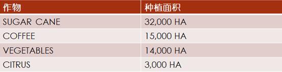 【外貿(mào)資訊】加勒比及中美洲農(nóng)業(yè)市場分析