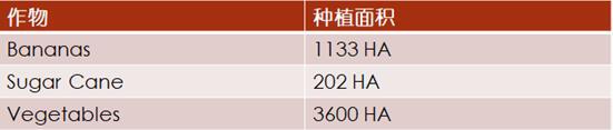 【外貿(mào)資訊】加勒比及中美洲農(nóng)業(yè)市場分析