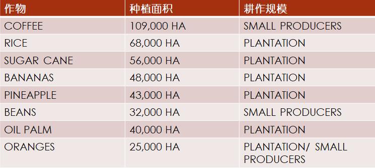 【外貿(mào)資訊】加勒比及中美洲農(nóng)業(yè)市場分析